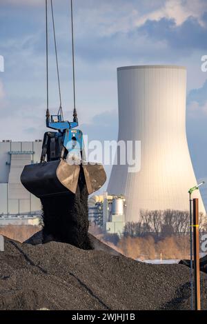 Il porto DI NIAG Rhine a Rheinberg-Orsoy, lo scarico di navi da carico con carbone importato e il caricamento su vagoni merci ferroviari, sullo sfondo la STEAG Foto Stock