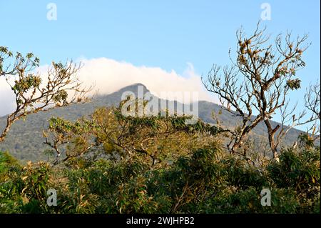 Volcán MIRAVALLES, PROVINCIA DI ALUAJUELA, COSTA RICA: Vedute naturali di Volcán Miravalles nella provincia di Aluajuela, Costa Rica. Foto Stock