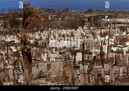 Maui, Stati Uniti. 18 agosto 2023. Costruire fondazioni e alberi inceneriti sono tutto ciò che rimane case dopo che incendi hanno spazzato attraverso lo storico villaggio di Lahaina, 18 agosto 2023 a Maui, Hawaii. Gli incendi che si sono abbattuti l'8 agosto, hanno distrutto il 80% della città e ucciso 100 persone. Crediti: Glenn Fawcett/CBP Photos/Alamy Live News Foto Stock