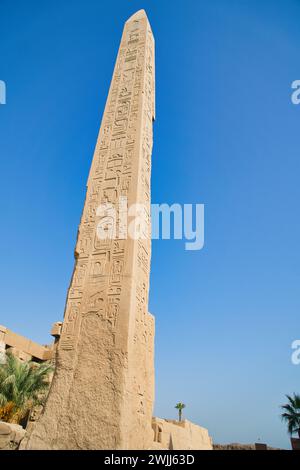 Una vista verticale dell'obelisco di Hatshepsut nel tempio di Karnak, Luxor, Egitto Foto Stock