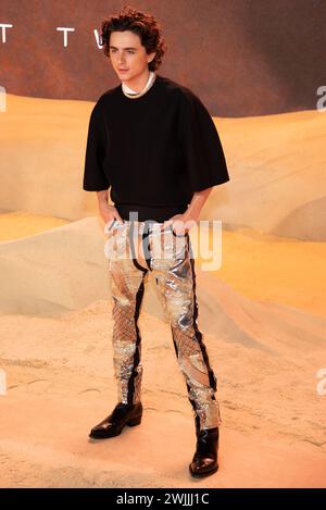 Londra, Regno Unito. 15 febbraio 2024. Timothée Chalamet partecipa alla prima mondiale di "Dune: Part Two" a Leicester Square a Londra. (Foto di Loredana Sangiuliano/SOPA Images/Sipa USA) credito: SIPA USA/Alamy Live News Foto Stock