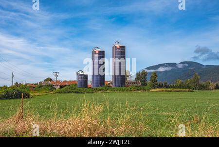 Grandi botti di ferro di grano. Ascensore granaio. Impianto per lo stoccaggio e la lavorazione dei cereali, Canada. Stoccaggio e lavorazione di prodotti a base di cereali. Grano moderno Foto Stock