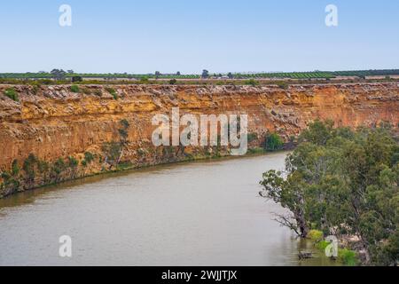 Big Bend sul fiume Murray, Australia meridionale. Foto Stock
