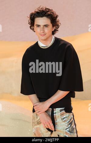 Londra, Regno Unito. 15 febbraio 2024. LONDRA, REGNO UNITO - 15 FEBBRAIO 2024: Timothee Chalamet partecipa alla prima mondiale di "Dune: Part Two" presentata da Warner Bros Immagini e leggendarie in Leicester Square a Londra, Regno Unito il 15 febbraio 2024. (Foto di Wiktor Szymanowicz/NurPhoto) credito: NurPhoto SRL/Alamy Live News Foto Stock