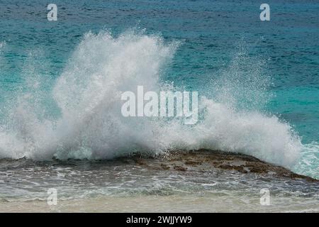 Infrangere le onde sulle rocce vicino alla riva, grandi spruzzi, Mahe Seychelles Foto Stock