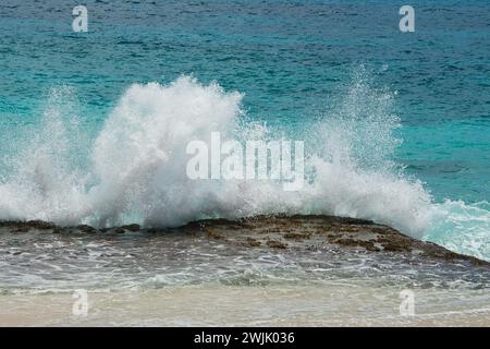 Infrangere le onde sulle rocce vicino alla riva, grandi spruzzi, Mahe Seychelles Foto Stock