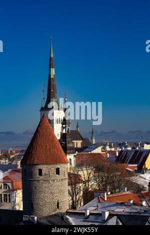 Skyline di Tallinn, Estonia. Vista aerea dell'Estonia. Città vecchia di Tallinn, Estonia.. Tallinn è situata sulla costa settentrionale del paese, sulla riva o Foto Stock