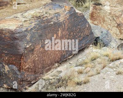 gli antichi petroglifi rupestri del giornale nativo americano su una parete rocciosa, come si vede da un punto di vista nel parco nazionale della foresta pietrificata, arizona Foto Stock