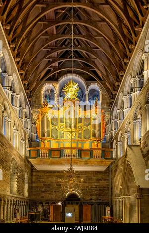 Organo barocco nella Cattedrale di Nidaros, Trondheim, Norvegia Foto Stock