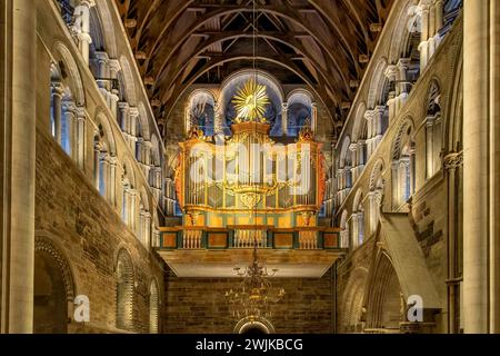 Organo barocco nella Cattedrale di Nidaros, Trondheim, Norvegia Foto Stock
