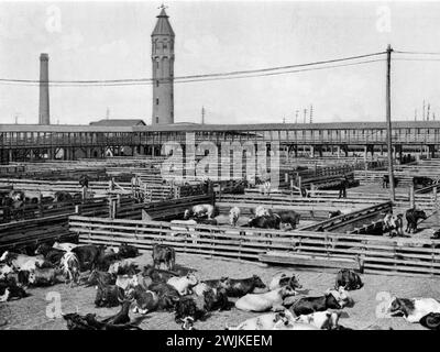 Vista di parte del mercato Union Stockyards di Chicago. In primo piano, recinti per bestiame. Al centro, corridoi in cui gli animali vengono condotti ai vicini macelli , Armour e Cie Chicago (Economy book, 1915), Ansicht eines Teils der Union Stockyards a Chicago. Im Vordergrund Viehhürden. im Mittelgrund Laufgänge, in denen die Tiere zu den in der Schlachthäusern befindlichen Nähe getrieben werden Foto Stock