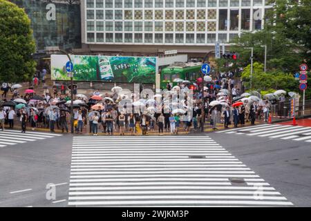 Tokyo, Giappone - 21 giugno 2016: Una giornata di pioggia a Tokyo, e molte persone con ombrelloni aspettano di attraversare l'incrocio a Shibuya Crossing. Foto Stock