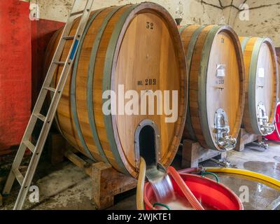 Una grande botte di legno per l'invecchiamento del vino viene lavata e disinfettata in un'azienda vinicola toscana nella zona del Chianti Foto Stock