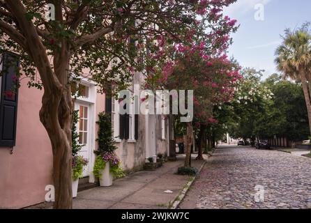 Alberi in fiore lungo la storica strada acciottolata Church Street Foto Stock