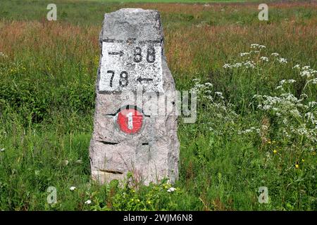 Vecchia pietra miliare fatta di granito dall'autostrada 110 (precedentemente numero 1) a Kitula, in Finlandia, in estate. Foto Stock