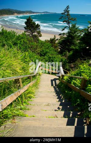 Scale sulla spiaggia, Beverly Beach State Park, Pacific Coast Scenic Byway, Oregon Foto Stock