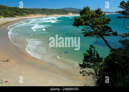 Beverly Beach Beverly Beach State Park, Pacific Coast Scenic Byway, Oregon Foto Stock