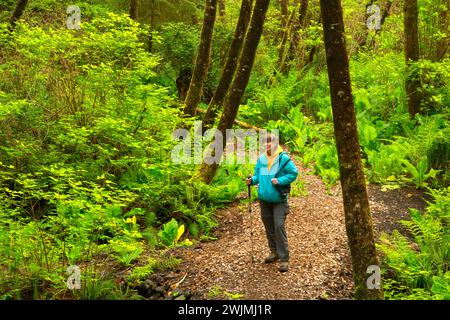 Sentiero attraverso la foresta, Woodland Trail, Waldport, Oregon Foto Stock