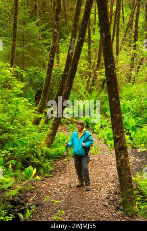 Sentiero attraverso la foresta, Woodland Trail, Waldport, Oregon Foto Stock