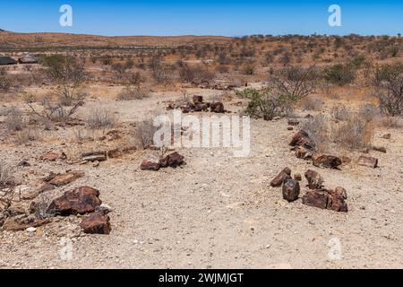 Tronchi di alberi pietrificati e mineralizzati, Khorixas, Damaraland, Namibia Foto Stock