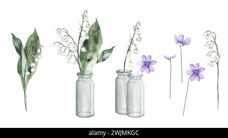 Elementi floreali ad acquerello con teneri gigli primaverili bianchi della valle. Scogliera di fiori di foresta lilla scilla in vaso di vetro. Set di elementi Foto Stock