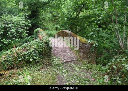 Packhorse bridge at Horner village over Horner water on Exmoor in Somerset. Foto Stock