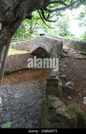 Packhorse bridge at West Luccombe village over Horner water on Exmoor in Somerset. Foto Stock