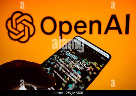 In questa illustrazione fotografica, la homepage di Sora, OpenAI video intelligenza artificiale è visualizzata su uno schermo dello smartphone e sullo sfondo del logo OpenAI (foto di Rafael Henrique / SOPA Images/Sipa USA) *** esclusivamente a scopo editoriale *** Foto Stock