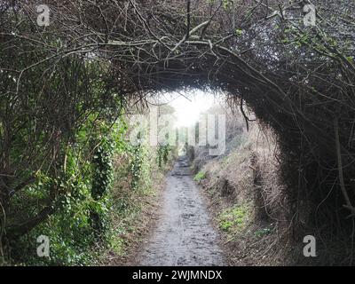 Sheerness, Kent, Regno Unito. 16 febbraio 2024. Un gruppo di comunità chiamato Sheppey Light Railway Greenway spera di introdurre una nuova "Greenway" attraverso l'Isola di Sheppey seguendo il percorso dell'ex Sheppey Light Railway a beneficio di escursionisti e ciclisti. Finora una sezione da Power Station Rd a Scrapsgate, Minster on Sea è stata sgombrata (nella foto) da volontari, ma ulteriori progressi richiederanno la cooperazione dei proprietari terrieri. La Sheppey Light Railway collegava Queenborough a Leysdown ma chiuse nel 1950. Crediti: James Bell/Alamy Live News Foto Stock