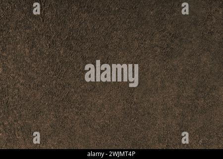 Fondo in pelle scamosciata, vera pelle marrone, pelle animale naturale, vista dall'alto. Texture per design, sfondo, carta da parati e design Foto Stock