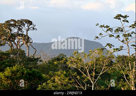 Volcán MIRAVALLES, PROVINCIA DI ALUAJUELA, COSTA RICA: Vedute naturali di Volcán Miravalles, un vulcano attivo nella provincia di Aluajuela, Costa Rica. Foto Stock