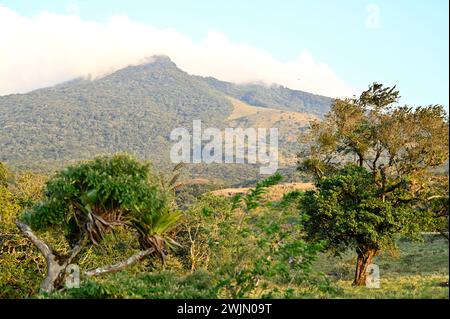 Volcán MIRAVALLES, PROVINCIA DI ALUAJUELA, COSTA RICA: Vedute naturali di Volcán Miravalles, un vulcano attivo nella provincia di Aluajuela, Costa Rica. Foto Stock
