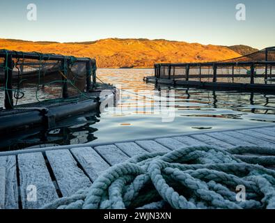 Gabbie recintate di un allevamento ittico in un allevamento di lago marino sulla costa occidentale della Scozia in inverno. Foto Stock