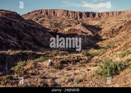 Bambini piccoli su un percorso a cavallo attraverso il deserto di Chihuahuan del Big Bend National Park in Texas. Foto Stock