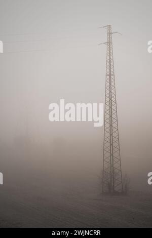 triste paesaggio di alberi e forme circondato dalla nebbia Foto Stock