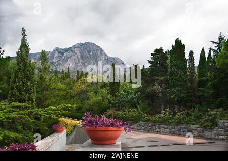 Un bellissimo parco vicino alle montagne. Montagne, rocce grigie, un grande vaso di fiori e molta vegetazione, sotto un cielo limpido. Estate nel parco, vicino al Foto Stock