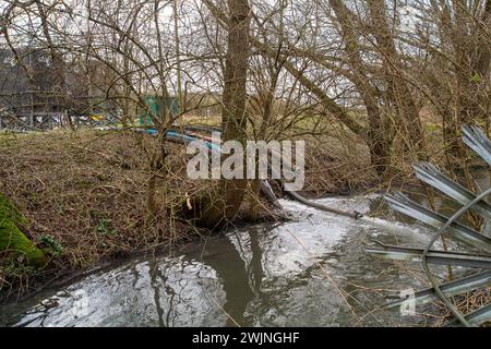 Amersham, Regno Unito. 16 febbraio 2024. L'acqua del Tamigi si sta scaricando nel fiume Misbourne, un prezioso ruscello di gesso, ad Amersham presso i carri armati di Amersham Balancing nel Buckinghamshire. Il Tamigi Water Event Duration monitor rimane fuori uso, tuttavia ci sono prove evidenti di funghi fognari nel fiume e di un odore di fognatura. Il fiume Misbourne è un torrente di gesso che scorre dalla sua sorgente appena a nord di Great Missenden attraverso diverse città del Buckinghamshire. I corsi d'acqua di gesso sono habitat rari a livello globale. Crediti: Mauren McLean/Alamy Live News Foto Stock