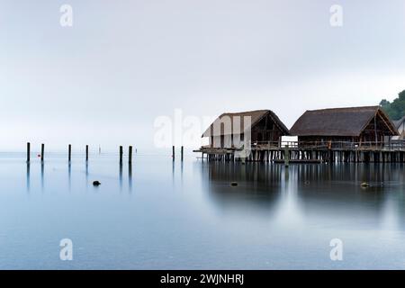 Foggy Summer Morning, Uhldingen, Germania, Baden-Württemberg, Lago di Costanza, dimore pila, Uhldingen-Mühlhofen Foto Stock