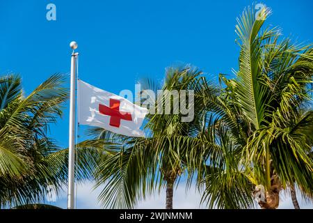 Stati Uniti. 3 febbraio 2024. Great Stirrup Cay mozzafiato: Acque smeraldo, spiagge incontaminate e vegetazione lussureggiante dipingono una scena da cartolina nelle idilliache Berry Islands delle Bahamas (immagine di credito: © Walter G Arce Sr Grindstone medi/ASP) SOLO PER USO EDITORIALE! Non per USO commerciale! Foto Stock