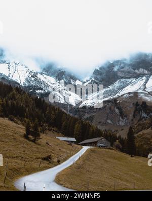 Strada panoramica attraverso un vasto campo con maestose montagne sullo sfondo Foto Stock