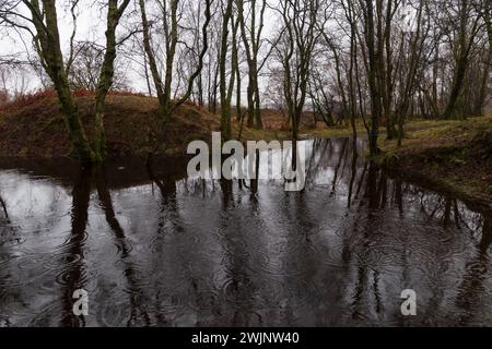 Foto suggestiva di una foresta allagata nelle Highlands scozzesi in una giornata fredda e umida in inverni. Foto Stock