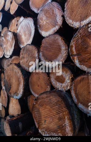Gestione forestale nelle Highlands scozzesi in inverno Foto Stock