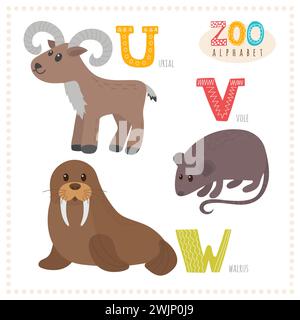 Carini cartoni animati. Alfabeto zoo con animali divertenti. Lettere U, V, W. Urial, vole, tricheco. Illustrazione vettoriale Illustrazione Vettoriale