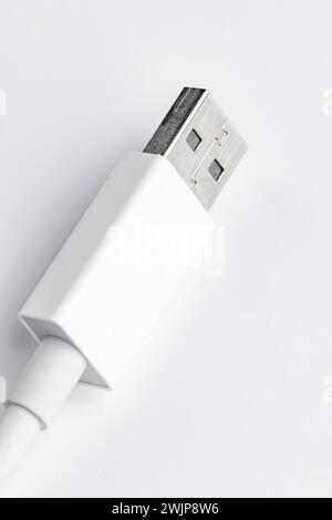 Primo piano di un connettore USB di tipo A su sfondo bianco Foto Stock