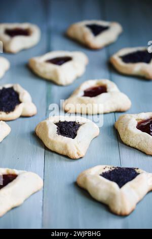 Varietà di tradizionali biscotti hamantaschen ripieni di pasta di mohn (pasta di semi di papavero) e marmellata di prugne per il festival ebraico di Purim. Foto Stock