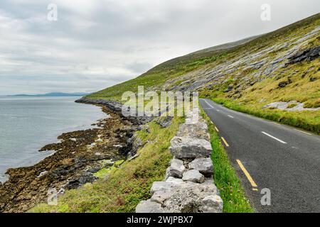 Spettacolare paesaggio nebbioso nella regione di Burren, nella contea di Clare, Irlanda. Roccia calcarea esposta al Burren National Park. Rozza irlandese Foto Stock