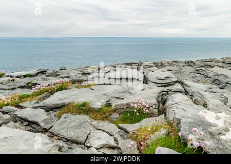 Spettacolare paesaggio nebbioso nella regione di Burren, nella contea di Clare, Irlanda. Roccia calcarea esposta al Burren National Park. Rozza irlandese Foto Stock