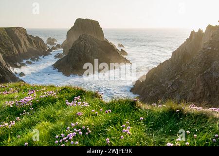 Scheildren, il paesaggio più iconico e fotografato a Malin Head, il punto più settentrionale dell'Irlanda, Wild Atlantic Way, spettacolare percorso costiero. Meraviglie Foto Stock