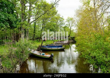 Barche assortite in affitto legate al piccolo molo di Lough Leane, il più grande e più settentrionale dei tre laghi del Killarney National Park, County Kerry, I. Foto Stock