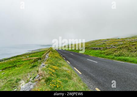 Spettacolare paesaggio nebbioso nella regione di Burren, nella contea di Clare, Irlanda. Roccia calcarea esposta al Burren National Park. Rozza irlandese Foto Stock